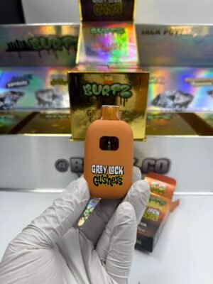 Burtz Disposable 2G Vape