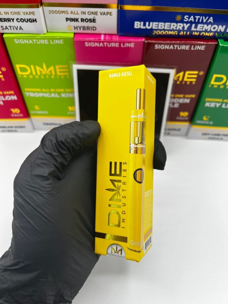 DIME 2G Disposable DIME 2G Disposable