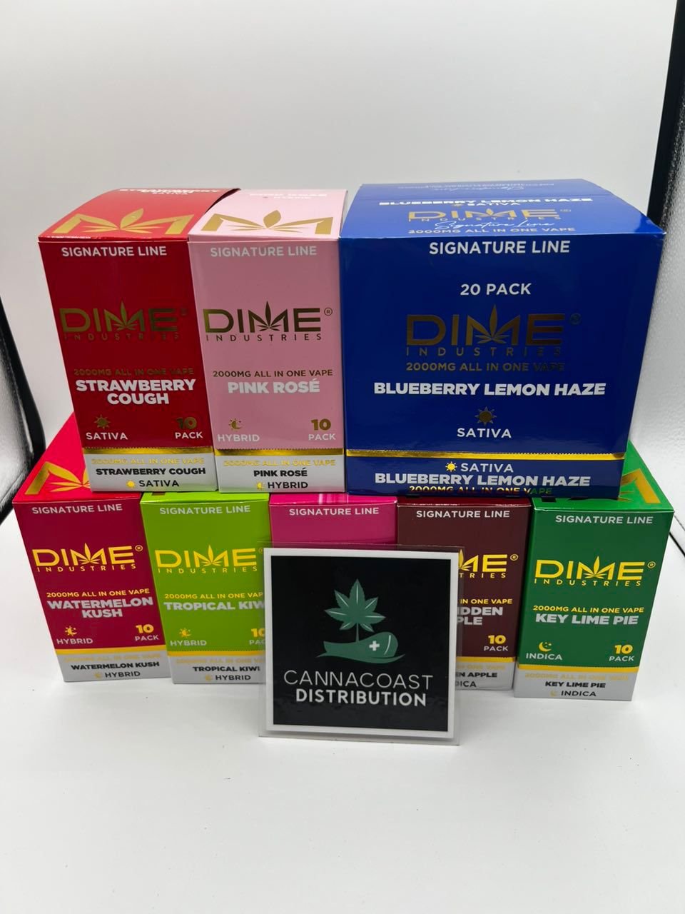 DIME 2G Disposable DIME 2G Disposable