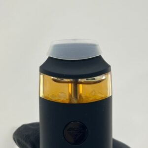 Pixie Dust Disposable