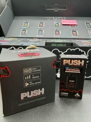 push 2g disposable with screen