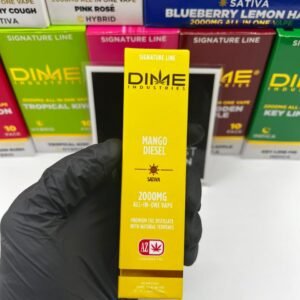 DIME 2G Disposable