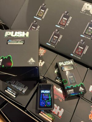 Push Disposable With Screen 2G