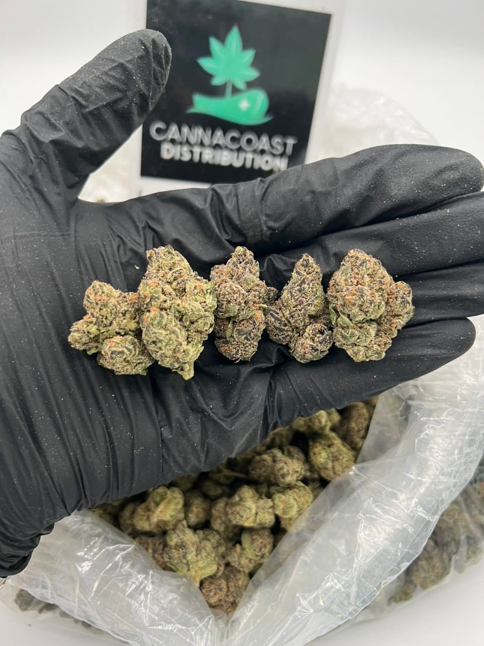 Cannacoast Distribution