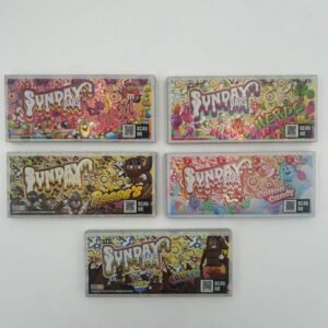 Sunday Mushroom Chocolate Bars 5G