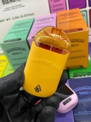 Smoothie Bar Disposable 2G With Screen