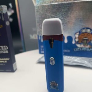 Big Chief 2G Disposable​