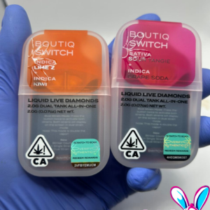 Boutiq Switch V4 Disposable 2G