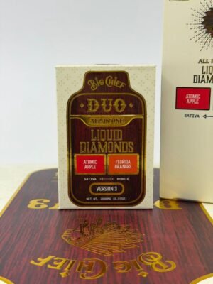 Big Chief Duo V3 2G Disposable