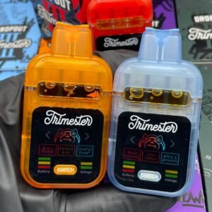 Dropout Academy Trimester 3G Disposable