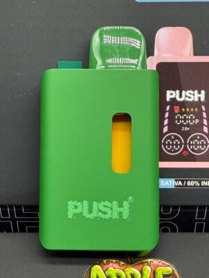 Push 2G Disposables With Screen - Colors Edition
