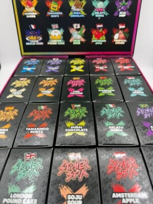 Stoner Stix World Tour 2G Disposable