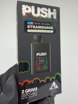 Push Disposable 2G With Screen - White Box Edition